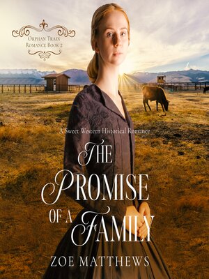 cover image of The Promise of a Family